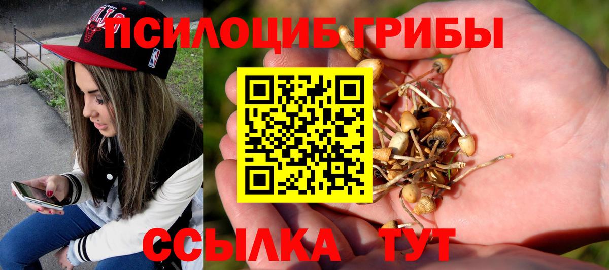 Галлюциногенные грибы GOLDEN TEACHER  Псилоцибиновые грибы мухоморы  купить  цена  Вход с VPN  Карачаевск 